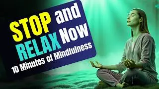 Mindfulness for Stress Reduction: Finding Peace in the Present Moment