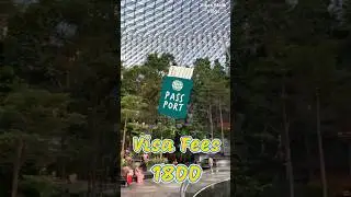 🇸🇬 Singapore Travel Budget 🔥 #travel #singapore #travelvlog #traveling #vikasmalikvlogs