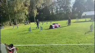 Agility Turnier Monika Fellner & Gorgo Jumping A1, O Fehler,  Platz 1🥇