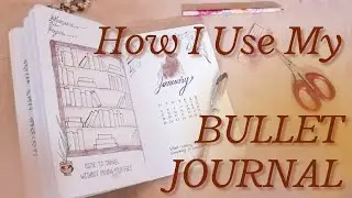 How I Use My Bullet Journal to be Productive | Bullet Journal Bangladesh