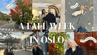 A fall week in Oslo - Work, events, dog sitting & a storm!
