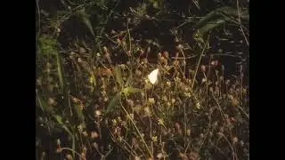 &lrm;