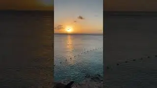 Atardecer en la Playa Kenepa Grande, Cura&ccedil;ao 🇨🇼 | n3ry_
