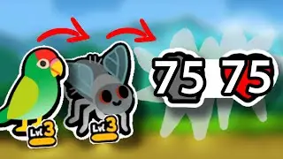 Parrot behind Fly is INSANE 75/75 spawned stats (Super Auto Pets)