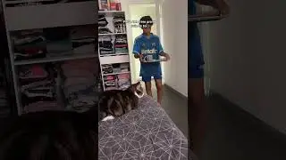 #frereetsoeur
