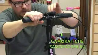 Самокат Triumf Active K2T
