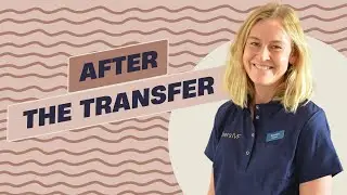 After embryo transfer &ndash; what to expect and do | Diers IVF