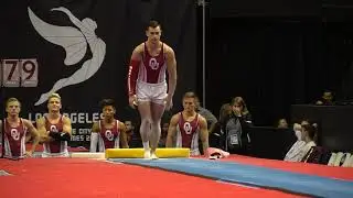 Colin VanWicklen - Vault - 2017 P&G Championships - Senior Men - Day 1