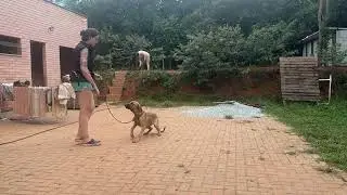 ZOE 08/01