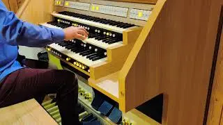 Florian Schachner - Autumn leaves