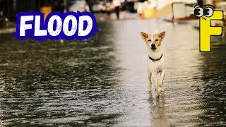 Disaster Alphabet A&ndash;Z 🌍⚡ | Fun ABC Phonics Rhymes About Storms, Quakes & More Kids Song