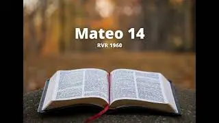 Mateo 14 - Reina Valera 1960 (Biblia en audio)