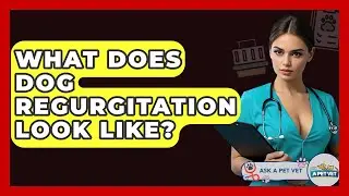 What Does Dog Regurgitation Look Like? - Ask A Pet Vet