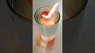 Nail polish vs Water /simple science experiment#project #trending  #shorts #ytshorts #youtubeshorts