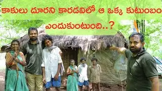 కాకులు దూరని కారడవిలో ఆ ఒక్క కుటుంబం ఎందుకుంటుంది..?. #telugu  kranthi adivasi jeevana vidhanam