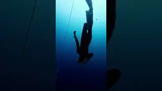 How do I start building my physical fitness for freediving? | Freedive Academy