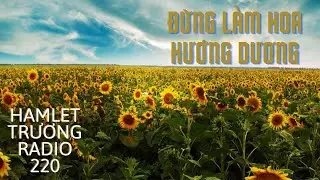 Hamlet Trương Radio 220: Đừng Làm Hoa Hướng Dương