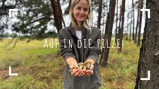 #20 - Auf in die Pilze! Steinpilze, R&ouml;hrlinge und Krause Glucke 🍄&zwj;🟫 