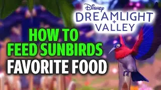 How to Feed Sunbirds with Favorite Food - Dreamlight Valley (Critters Guide)