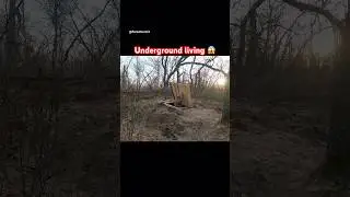 Building a bunker underground for winter ❄️ bushcraft  #building #camping #survival #offgridliving
