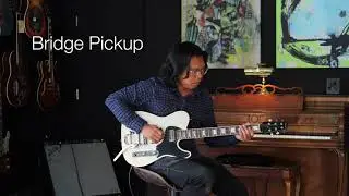 Shabat Lion Special - Silver Sparkle, Lollartron Pickups
