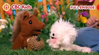 ASL Preschool Show | Sharing (Silly Paws) | CBC Kids
