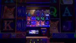 15 Free Games on Kitty Glitter 💎💎💎 (part 1) #slot #slotmachine #bestslotchannel