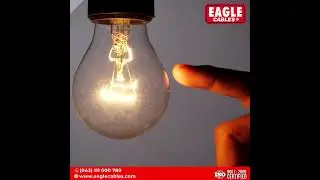 𝐄𝐚𝐠𝐥𝐞 𝐂𝐚𝐛𝐥𝐞𝐬: 𝐘𝐨𝐮𝐫 𝐋𝐢𝐟𝐞𝐥𝐢𝐧𝐞 𝐭𝐨 𝐏𝐨𝐰𝐞𝐫 #eaglecables #automobile #qualityconnections #highqualitycables