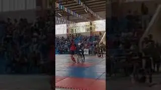 wushu