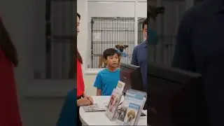 This is an adoption center not China