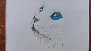 How to draw a Simple Cat Face - step by step || Pencil sketch tutorial || Easy drawing