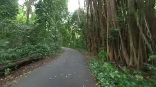 Walking in nature  - VR180 Relaxing 3D Virtual Reality Experience with Song
