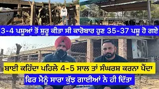 3-4 ਪਸ਼ੂਆਂ ਤੋਂ ਸ਼ੁਰੂ ਕੀਤਾ ਸੀ ਕਾਰੋਬਾਰ ਹੁਣ 35-37 ਪਸ਼ੂ ਹੋ ਗਏ ਬਾਈ ਕਹਿੰਦਾ ਪਹਿਲੇ 4-5 ਸਾਲ ਤਾ ਸੰਘਰਸ਼ ਕਰਨਾ ……