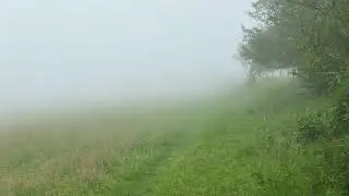 Runner In The Mist - Pen Llyn Ultra Welsh Coastal Path