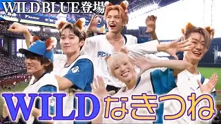 【#WILDBLUEが登場！ 】WILD BLUEの