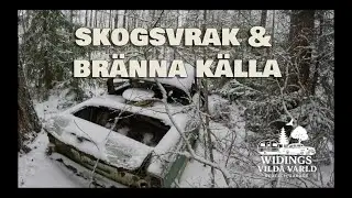 SKOGSVRAK & BR&Auml;NNA K&Auml;LLA