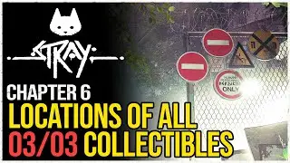 Stray All Chapter 6 Collectibles & Achievements