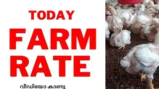 Broiler Farm rate kerala