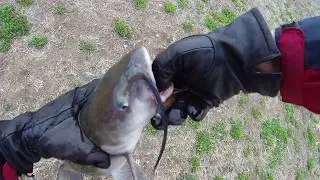 Post-Cold Front Spring Fishing