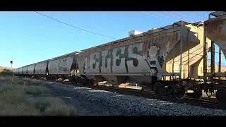Ferromex westbound manifest train heading back to Mexico after departing Alfalfa yard in El Paso TX 