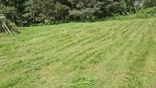 Yarbo Single Cut vs Double Cut of Long Grass