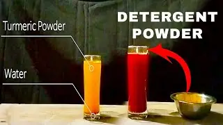 Detergent Powder vs Water & Turmeric Powder | Science Experiment Explained