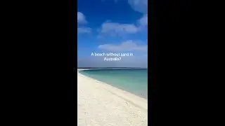 Would you visit a beach without sand in Australia? 🤯🐚✨📍