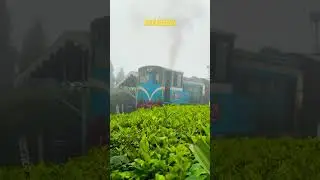 Toy train.. #electronic #relaxingmusic #darjeeling  #viral #train #chillvibes