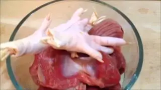 Raw Diet for large breed Dog  50 -100lb........Peter Caine Dog training