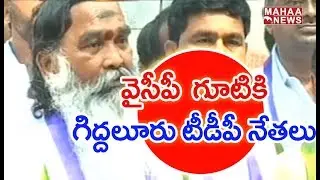 Giddaluru TDP Leaders Joining In YSRCP | Mahaa News