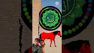 allah hu akbar #islamicvideo #aivideo #trending  #mewmew..