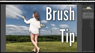 A QUICK Lightroom BRUSH Tip