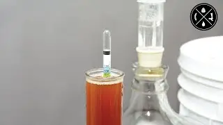 Balancing a Home Draft Beer System, Maintaining a Glycol Chiller, & Gravity Reading Woes - Ep.419