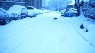Cavalier Snow Training